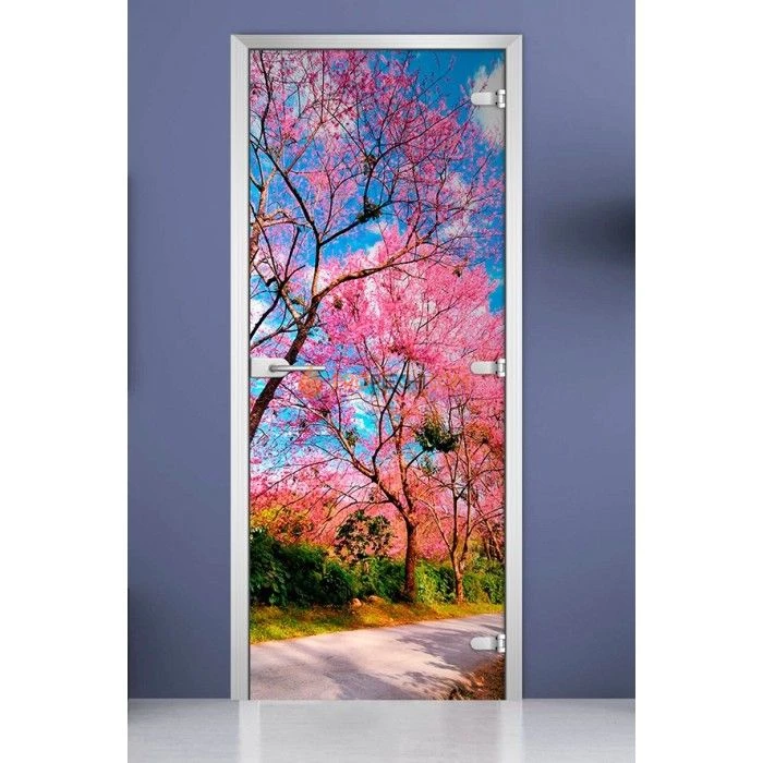 Стеклянная межкомнатная дверь DoorWood с фотопечатью Nature-12, 2000х800 мм