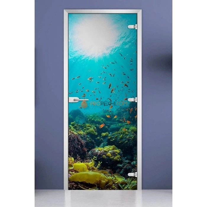 Стеклянная межкомнатная дверь DoorWood с фотопечатью Underwater World-06, 2000х800 мм