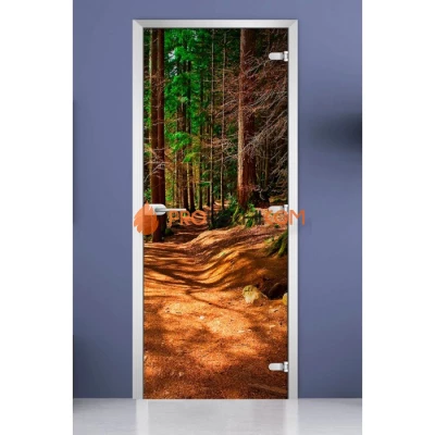 Стеклянная межкомнатная дверь DoorWood с фотопечатью Forest-17, 2000х700 мм