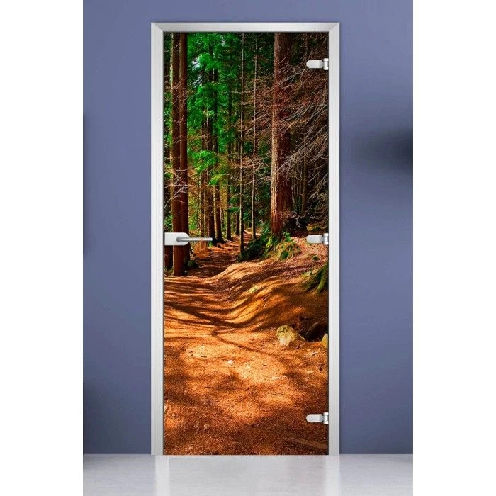 Стеклянная межкомнатная дверь DoorWood с фотопечатью Forest-17, 2000х700 мм