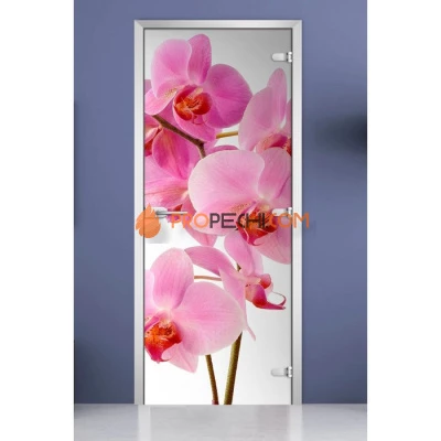 Стеклянная межкомнатная дверь DoorWood с фотопечатью Flowers-17, 2000х700 мм