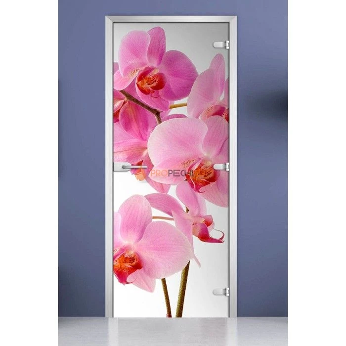 Стеклянная межкомнатная дверь DoorWood с фотопечатью Flowers-17, 2000х800 мм