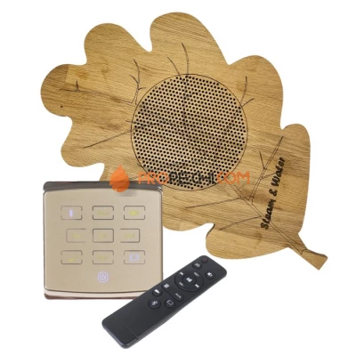 Комплект акустической системы встраиваемый SW 1 Gold ECO Wood, Дубовый лист (одна колонка)