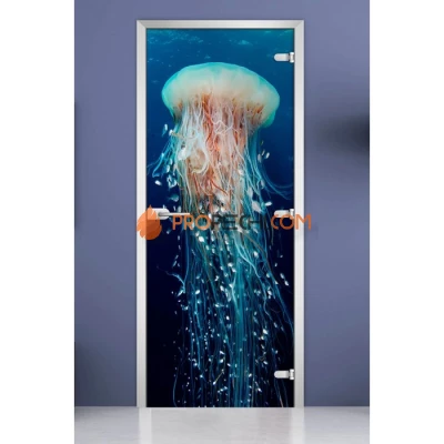 Стеклянная межкомнатная дверь DoorWood с фотопечатью Underwater World-13, 2000х800 мм