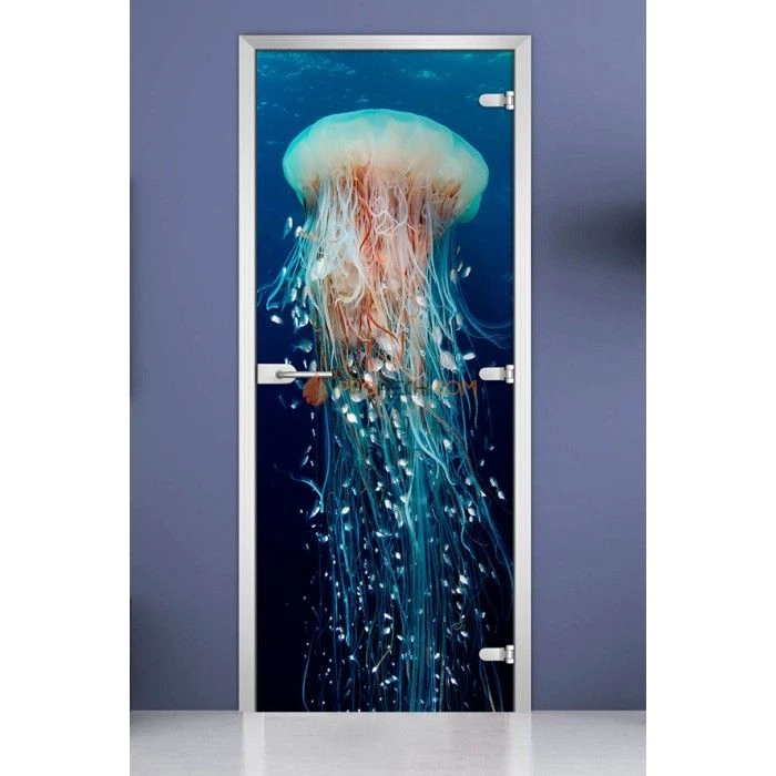 Стеклянная межкомнатная дверь DoorWood с фотопечатью Underwater World-13, 2000х800 мм