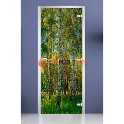 Стеклянная межкомнатная дверь DoorWood с фотопечатью Forest-20, 2000х700 мм