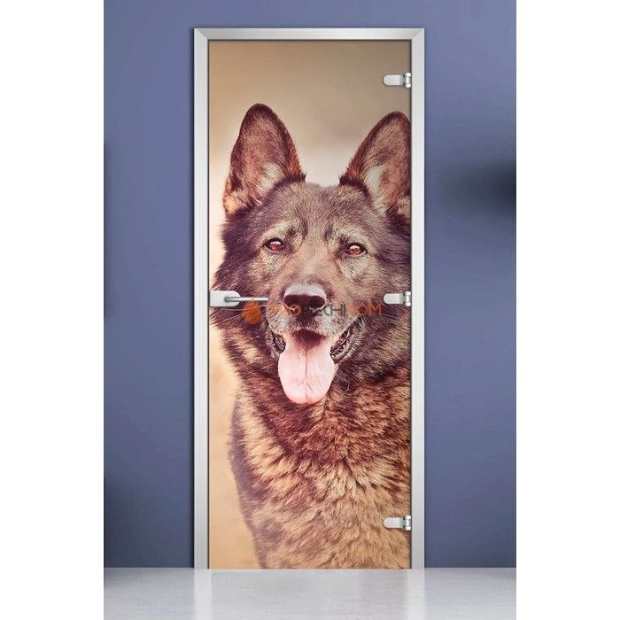 Стеклянная межкомнатная дверь DoorWood с фотопечатью Animals-17, 2000х700 мм