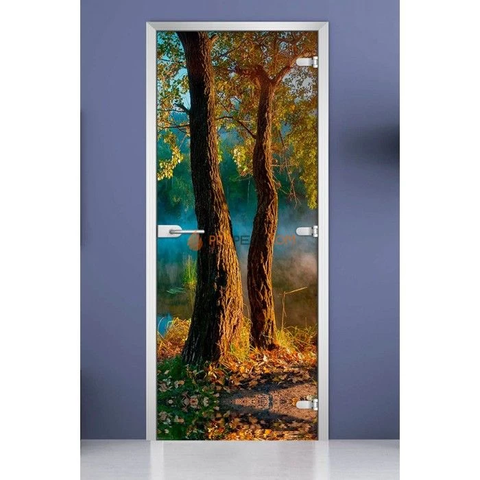 Стеклянная межкомнатная дверь DoorWood с фотопечатью Forest-06, 2000х800 мм
