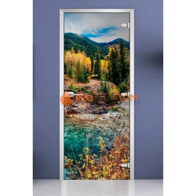 Стеклянная межкомнатная дверь DoorWood с фотопечатью Forest-09, 2000х700 мм