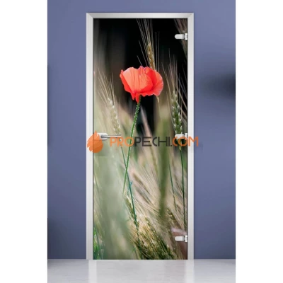 Стеклянная межкомнатная дверь DoorWood с фотопечатью Flowers-18, 2000х700 мм