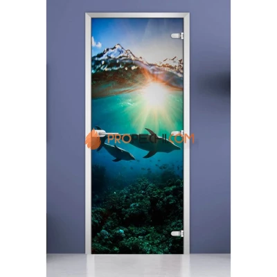 Стеклянная межкомнатная дверь DoorWood с фотопечатью Underwater World-20, 2000х800 мм
