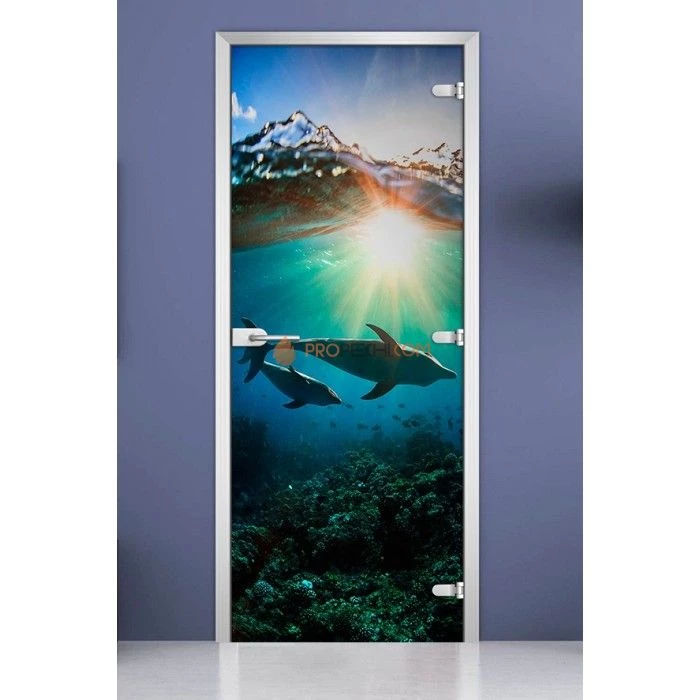 Стеклянная межкомнатная дверь DoorWood с фотопечатью Underwater World-20, 2000х700 мм