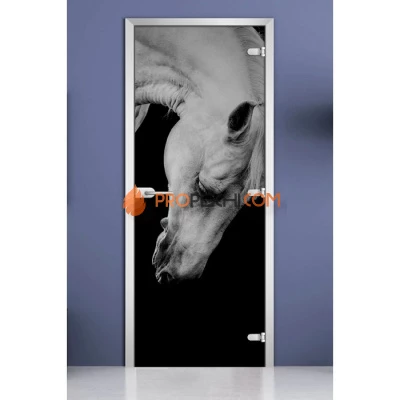Стеклянная межкомнатная дверь DoorWood с фотопечатью Animals-11, 2000х800 мм