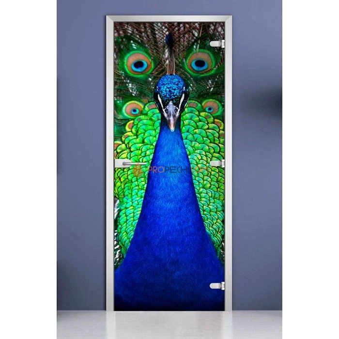 Стеклянная межкомнатная дверь DoorWood с фотопечатью Animals-02, 2000х800 мм
