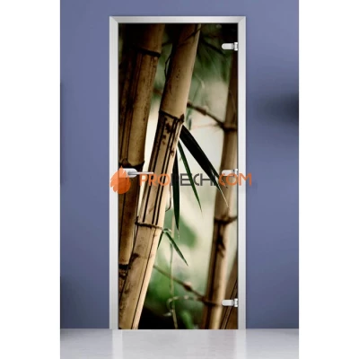 Стеклянная межкомнатная дверь DoorWood с фотопечатью Forest-19, 2000х700 мм
