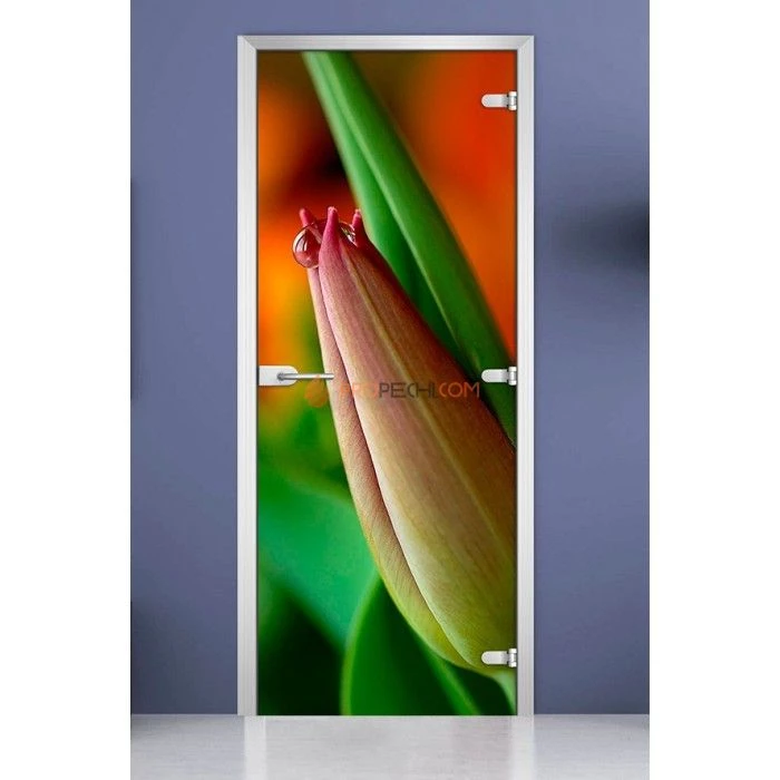 Стеклянная межкомнатная дверь DoorWood с фотопечатью Flowers-10, 2000х800 мм