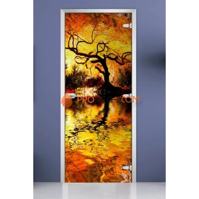 Стеклянная межкомнатная дверь DoorWood с фотопечатью Forest-04, 2000х700 мм